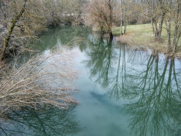 Rijeka Bogdanica